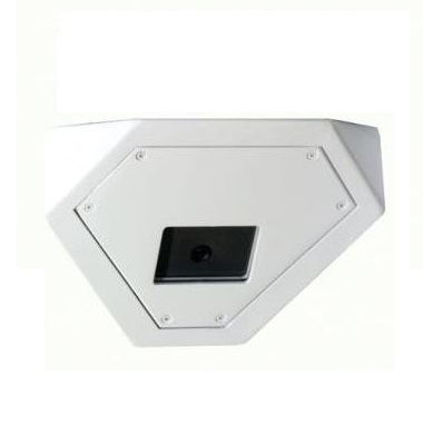EX36N CKöşe Montaj No-grip Camera